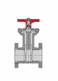 4 CPVC GATE VALVE FLANGED EPDM