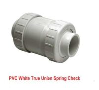 TRUE UNION SPRING CHECK VALVE SOC END EPDM RING